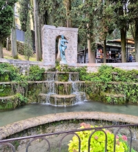 8ff24c95-fc23-4db4-a207-2c2f3ab5441b