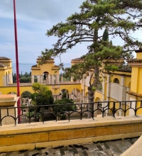 af5482ed-befe-44af-b506-7fecda7fbe4e